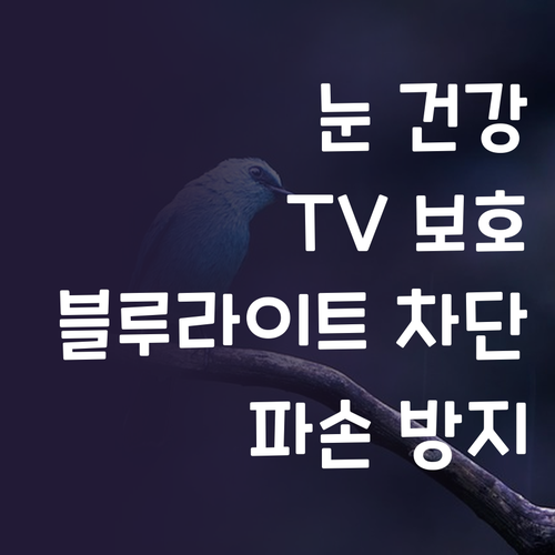 블루라이트 차단 TV 보호기, 시력 ..