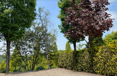 파이브이모션 캠핑장 A4