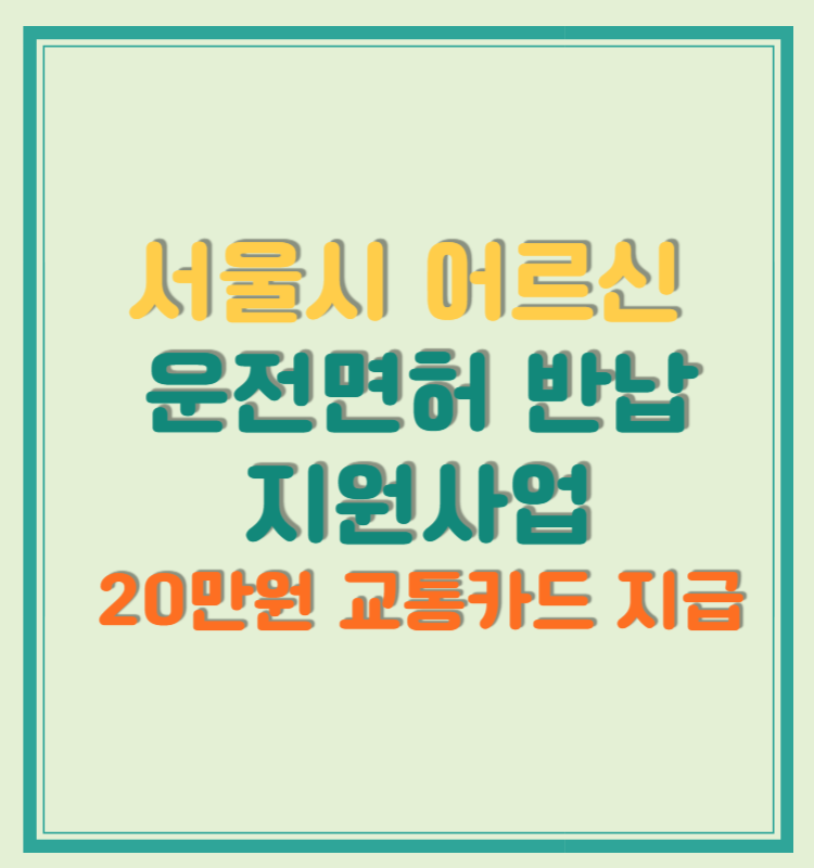 서울시 어르신 운전면허 반납 지원사업 20만원 교통카드 지급