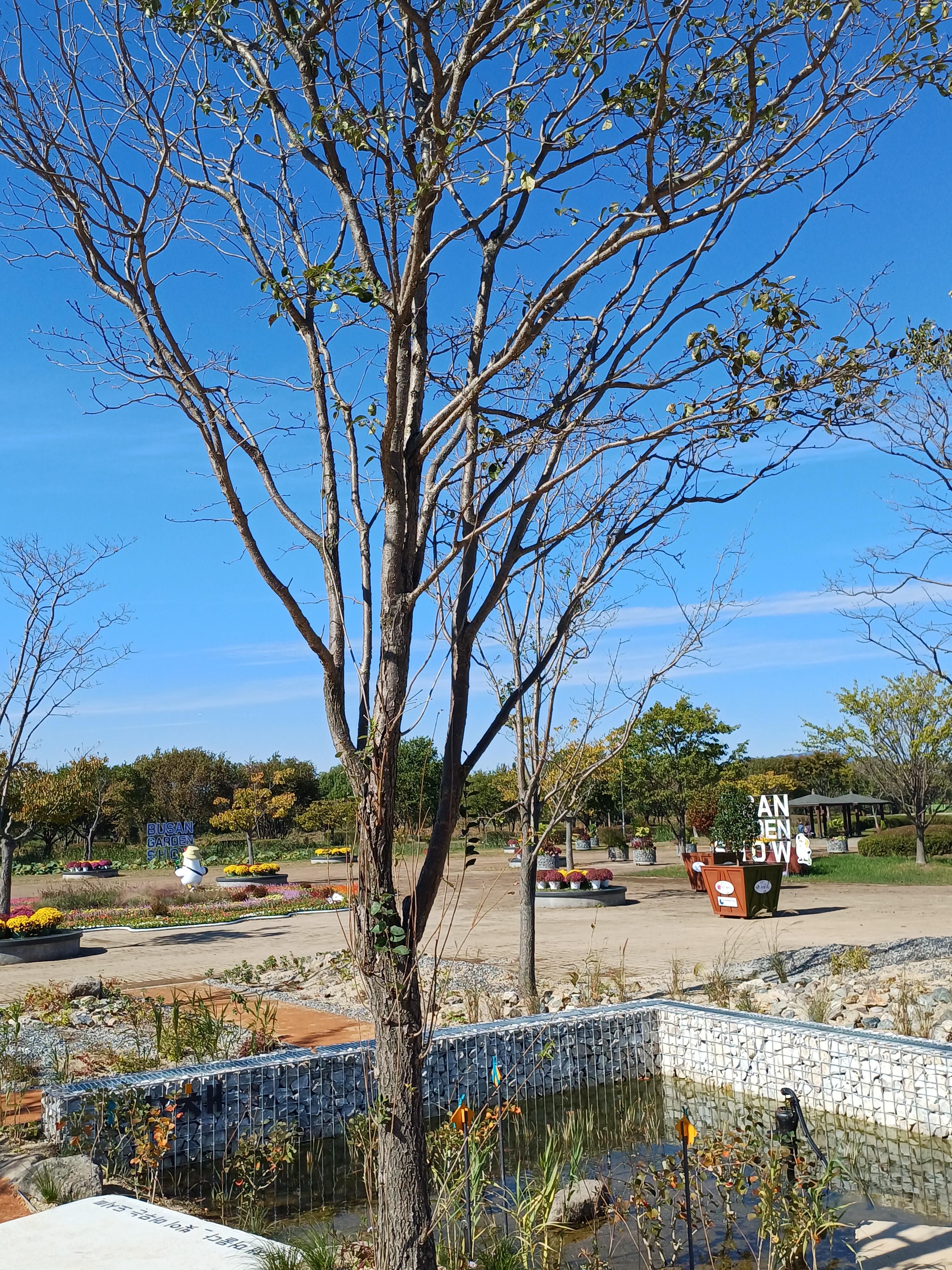 the overall view of the Garden Show.