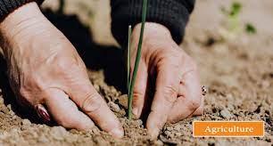 2024 공익직불제 신청방법 및 신청기간 혜택 총정리