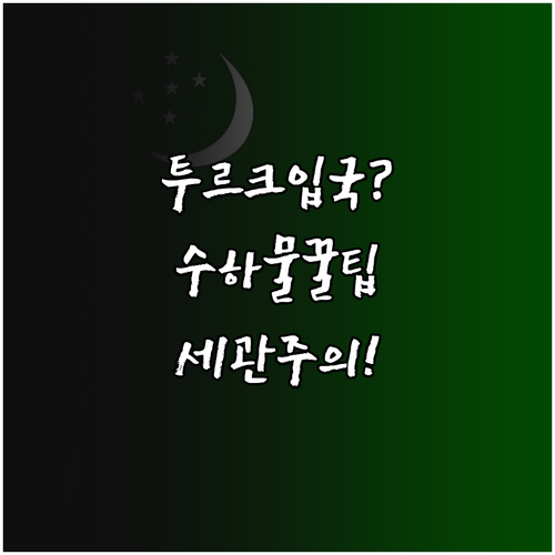투르크메니스탄 여행, 항공사 수하물부..