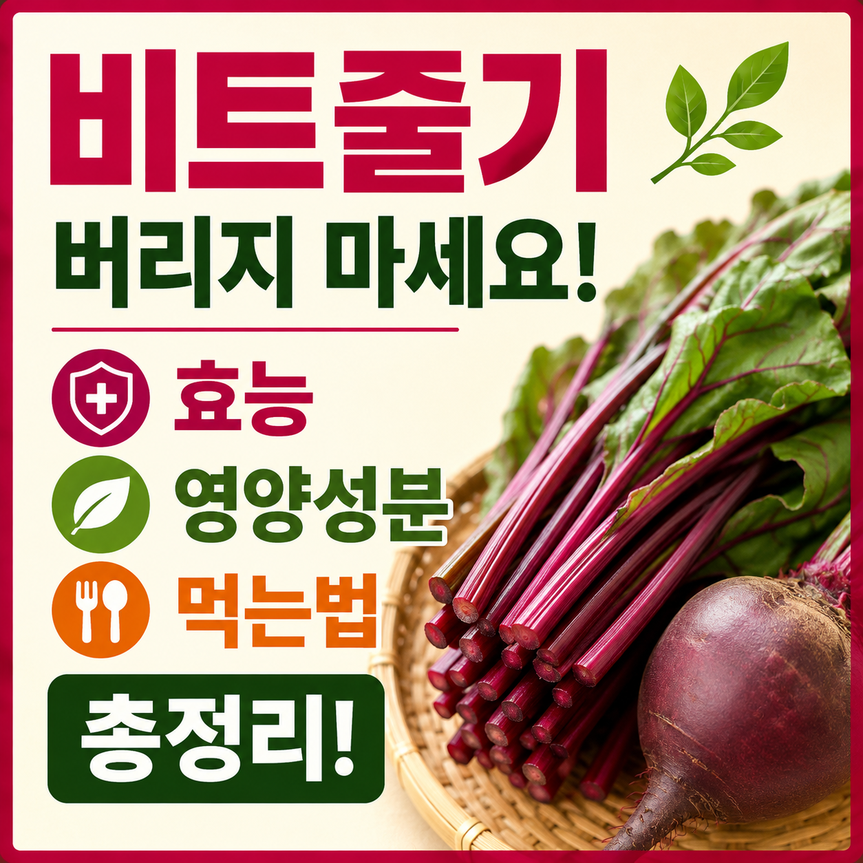 비트줄기 효능