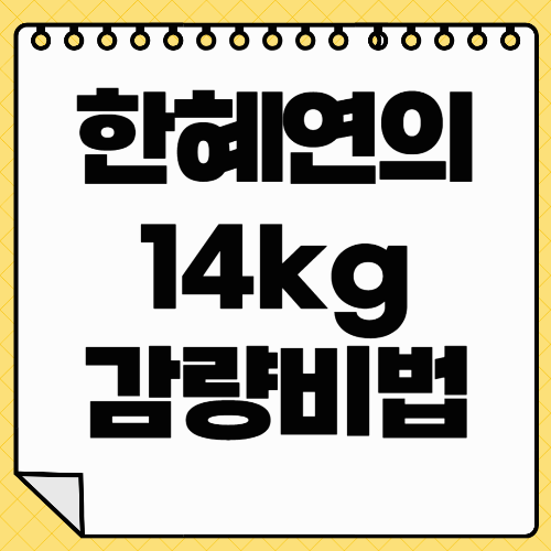 한혜연의 14kg 감량 비법