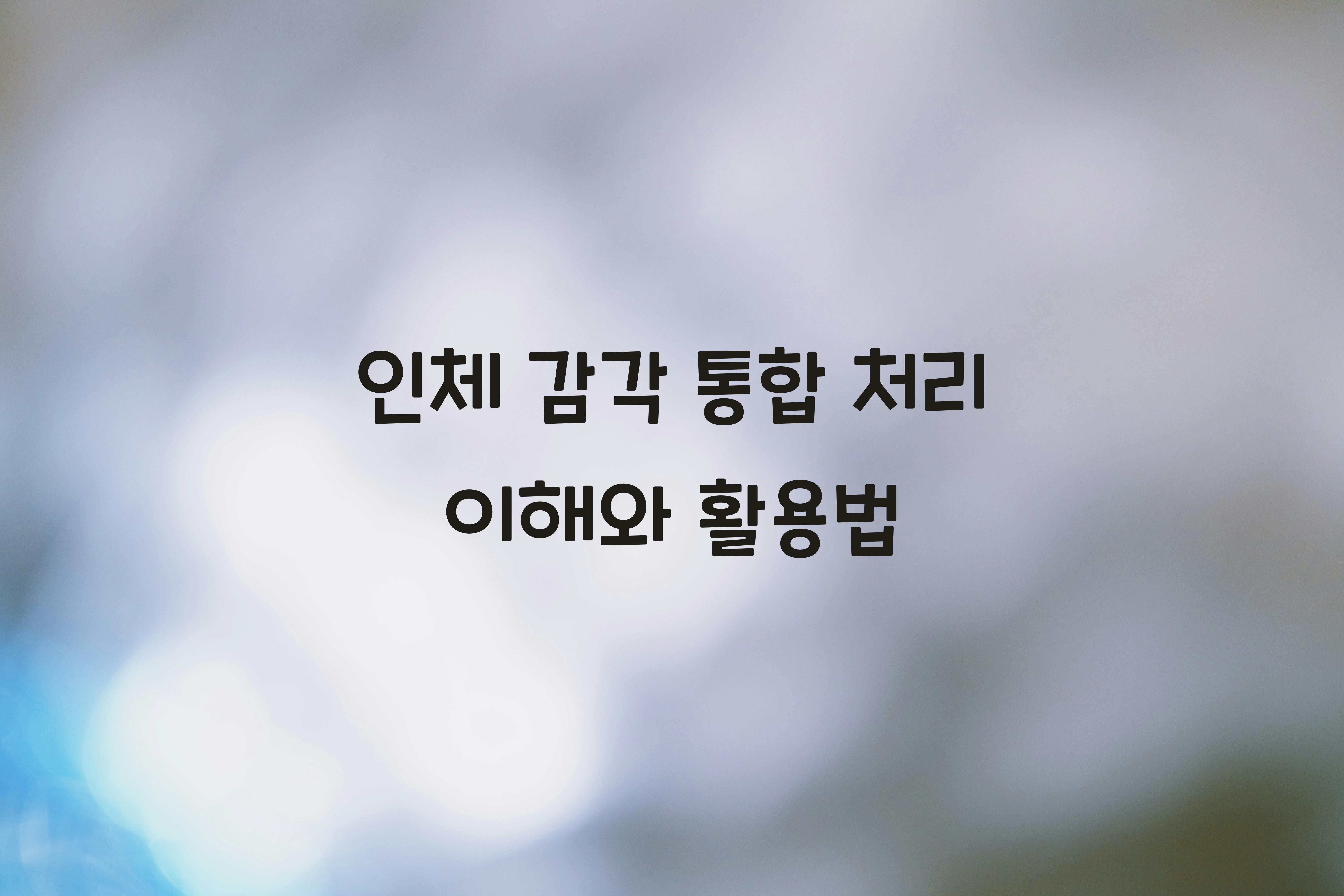 인체 감각 통합 처리
