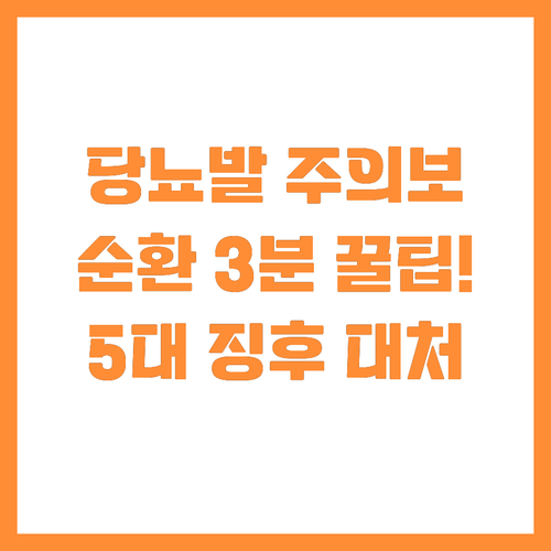 당뇨발 예방 순환 증진 루틴과 5대 ..