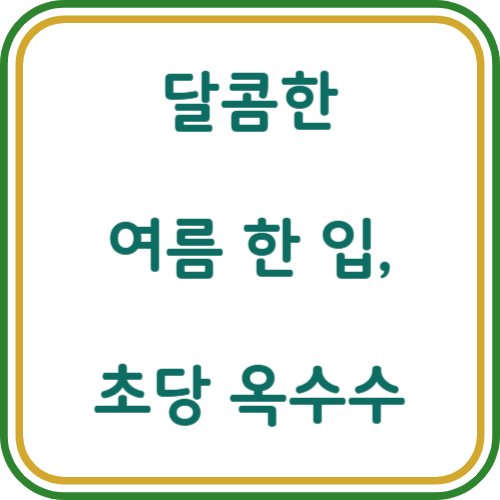 초당 옥수수 먹는 방법