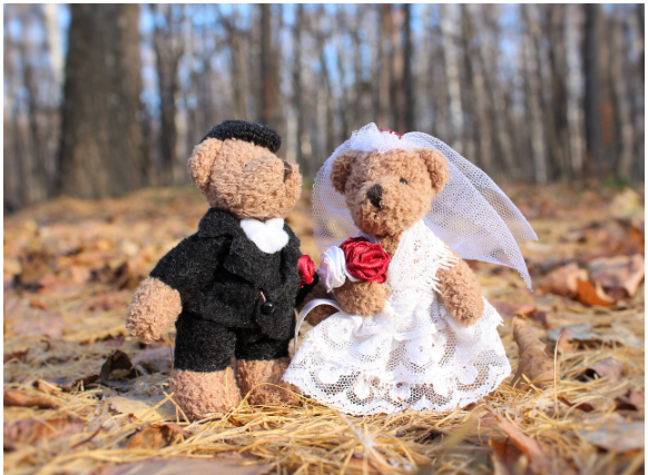 기괴한 결혼 풍습 &ndash; 세계의 특이한 결혼 의식