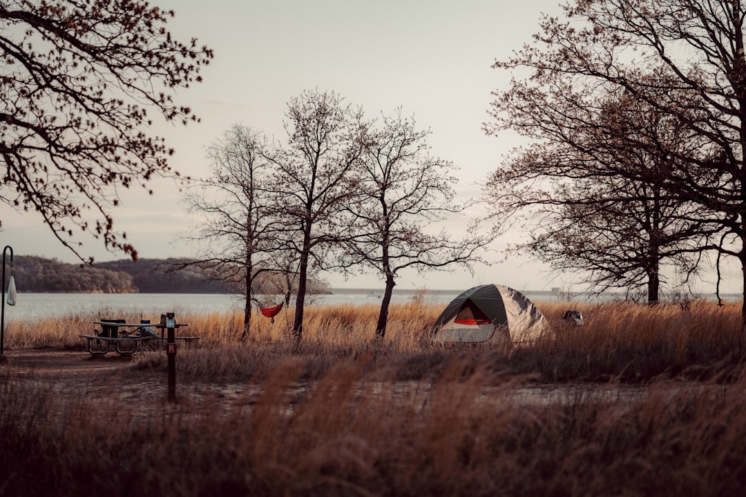 Campsite