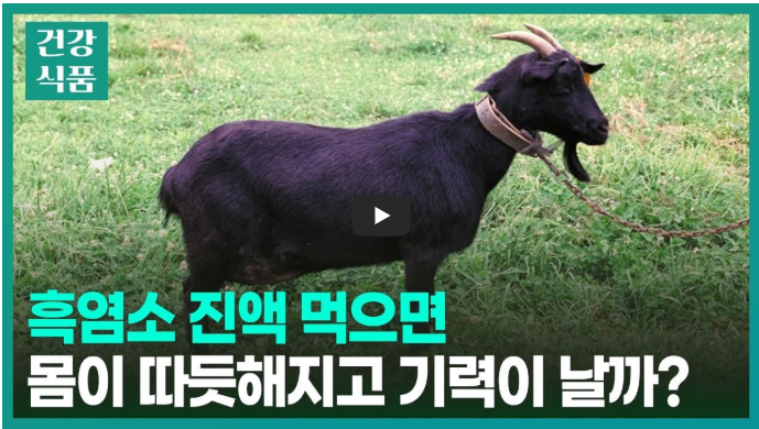흑염소 진액 효능과 부작용