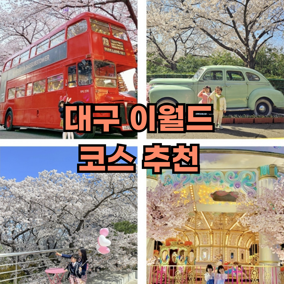 대구 이월드 추천