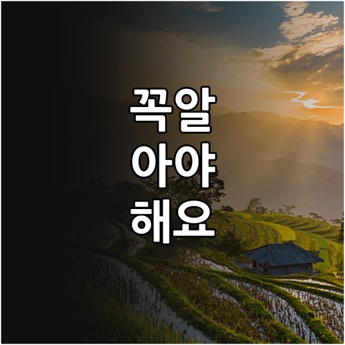 2025년 가축 살처분 보상금 당신의..