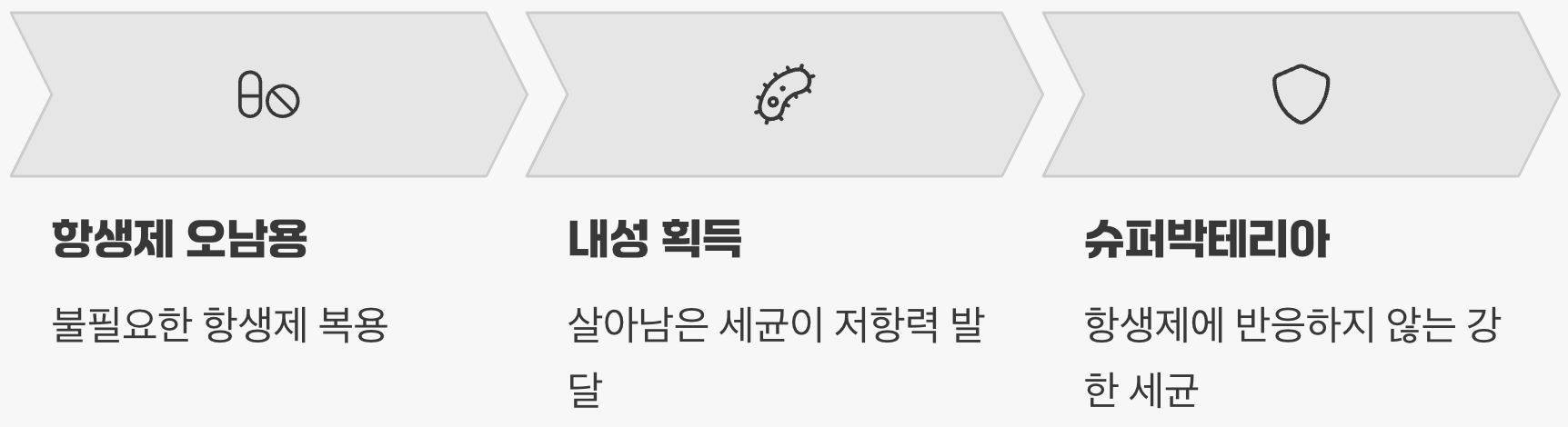 살아남은 자의 무서운 진화