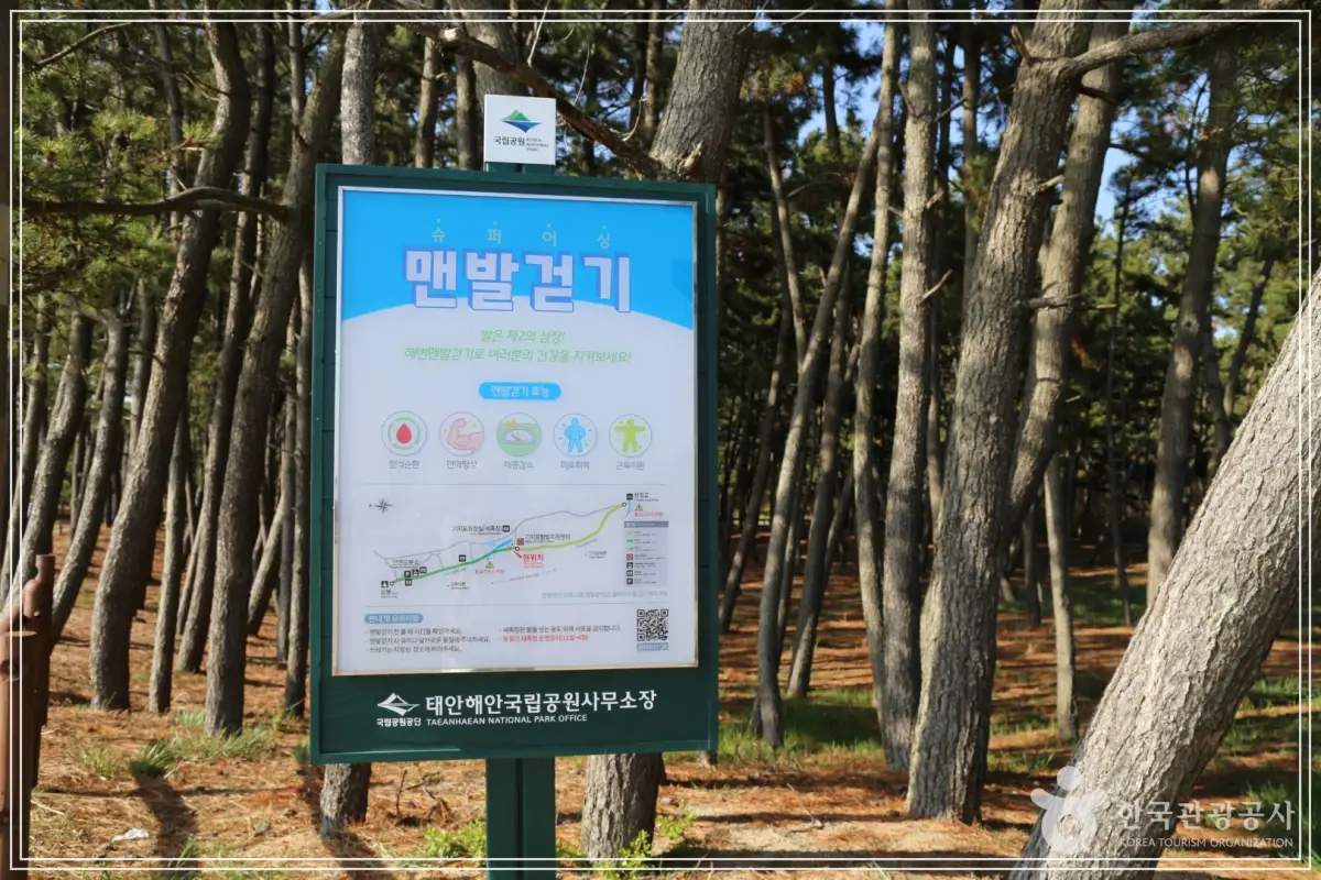 batch_78061220-a622-4a6a-aef0-9c088b4be52f