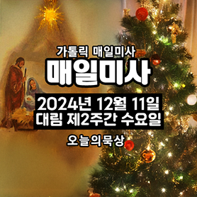 2024년 12월 11일 매일미사 대림 제2주간 수요일 오늘의 묵상