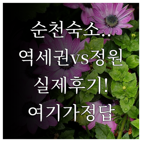 순천 여행 숙소 순천역 근처부터 국가..
