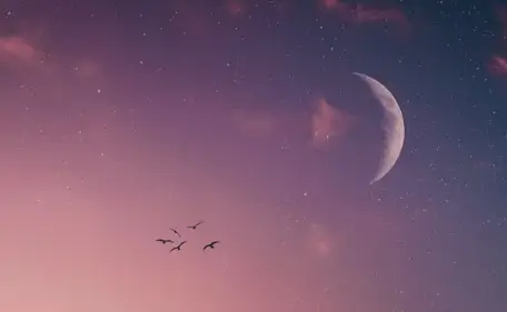 달 꿈해몽