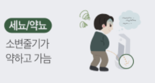 카리토포텐 효능