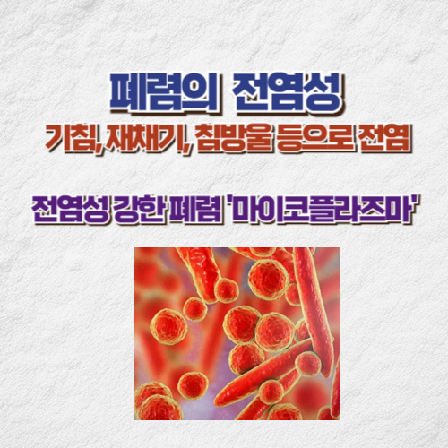폐렴 전염