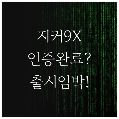 지커 9X 국내 인증 절차와 출시 일..