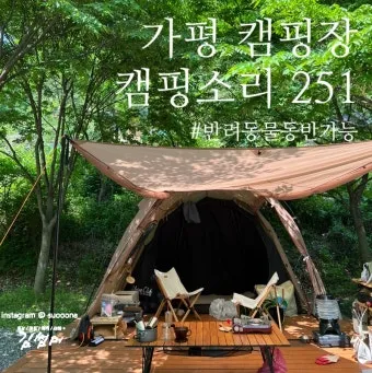 서울 마포 반려동물 캠핑장 도심 속 힐링 명소 가이드_12