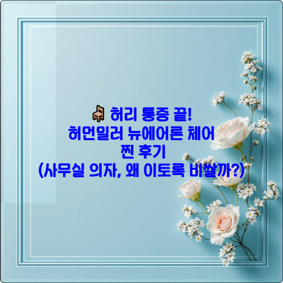 🪑 허리 통증 끝! 허먼밀러 뉴에어론 체어 찐 후기 (사무실 의자, 왜 이토록 비쌀까?)