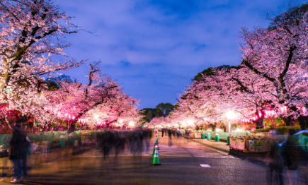 2026 진해군항제