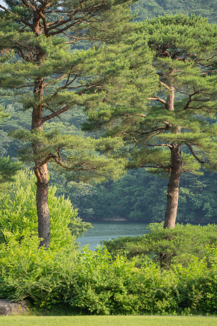 호암 미술관 저수지
