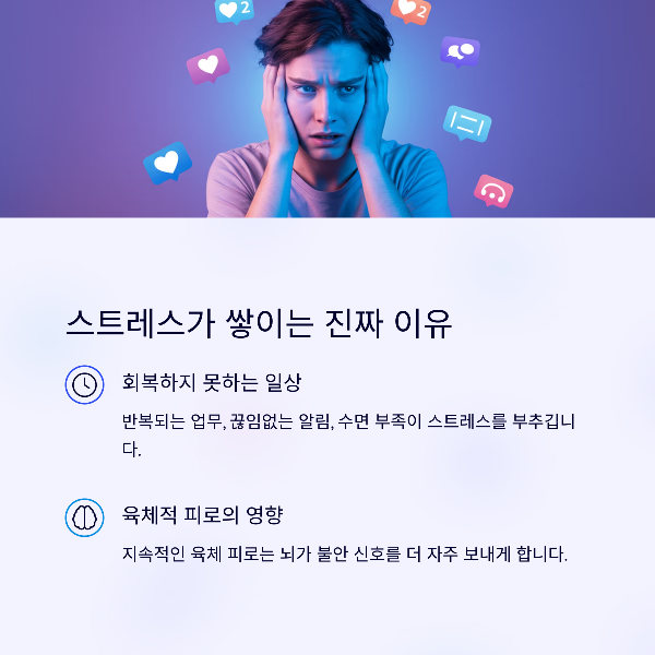 스트레스가 쌓이는 진짜 이유
