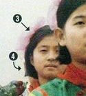 김현희 음모론