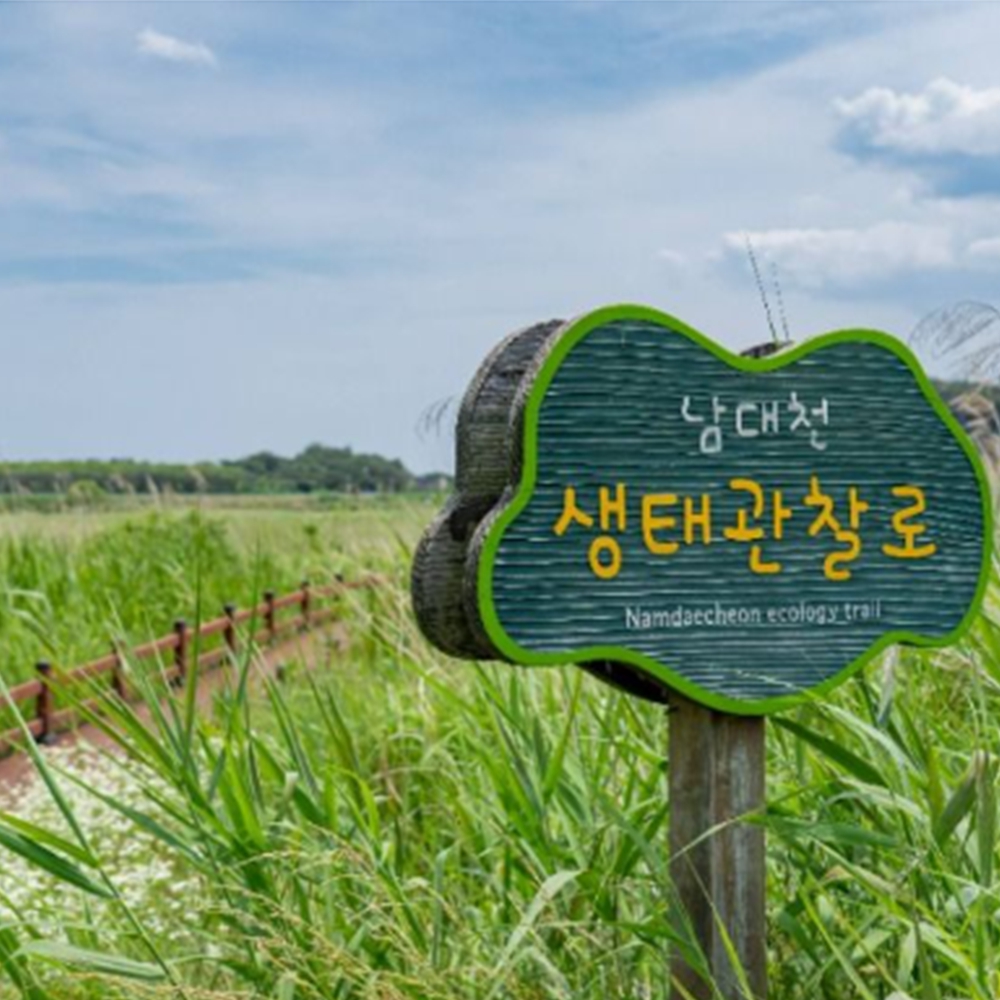 양양 남대천 생태관찰로