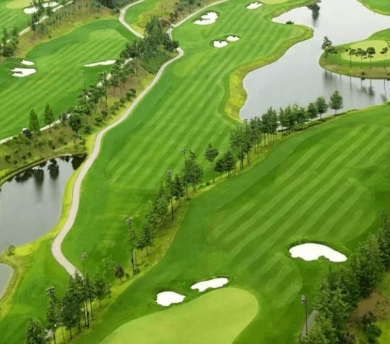 BMW 레이디스챔피언십