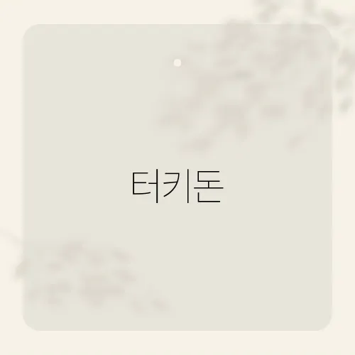 터키돈, 여행자를 위한 환전 및 화폐 사용 가이드​