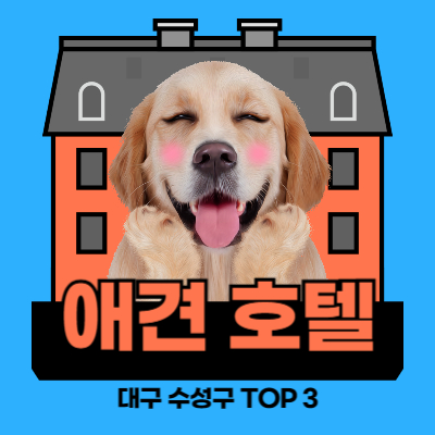 대구-수성구-애견호텔-썸네일