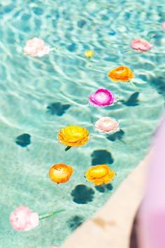 7월 인사말 모음