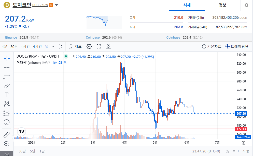 도지코인, 큰 반등을 할 것인가? 2024 예측과 분석