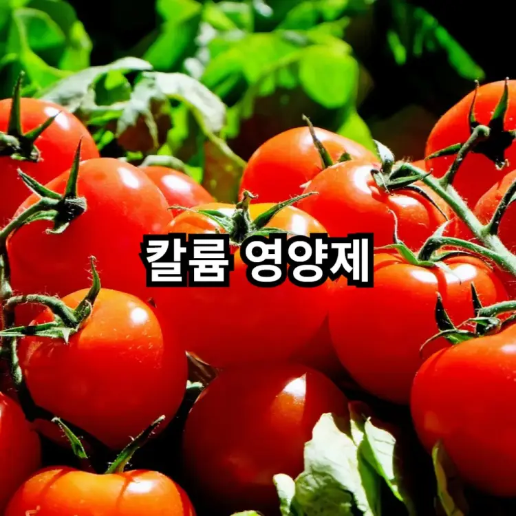 칼륨영양제