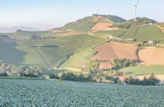 전국수선화명소