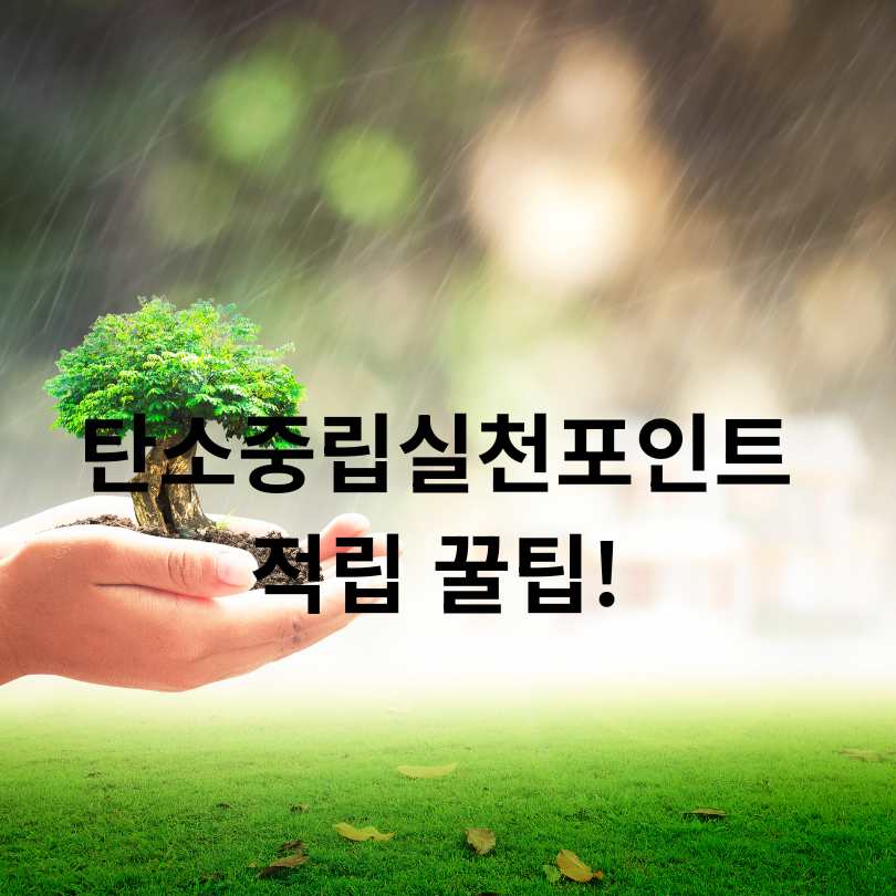 탄소중립실천포인트 적립 꿀팁!