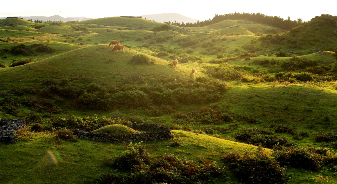 제주 올레 1코스, 제주 도보 여행