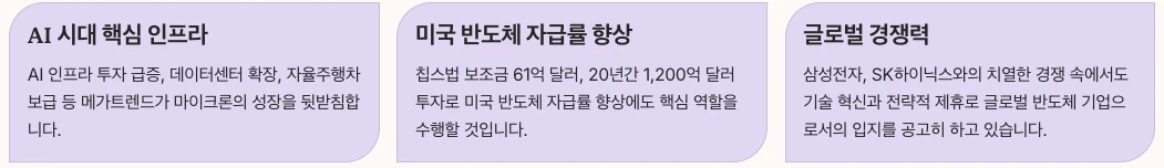 마이크론 테크놀로지 핵심 요약 정리