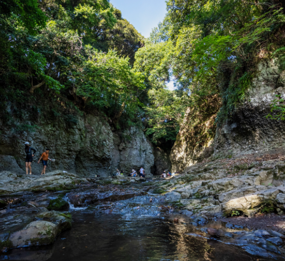 제주 안덕계곡 — 아열대 식생과 폭포의 이국적인 매력