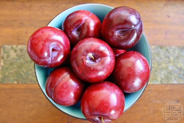 자두 효능 우울증 자두하루섭취량 자두부작용