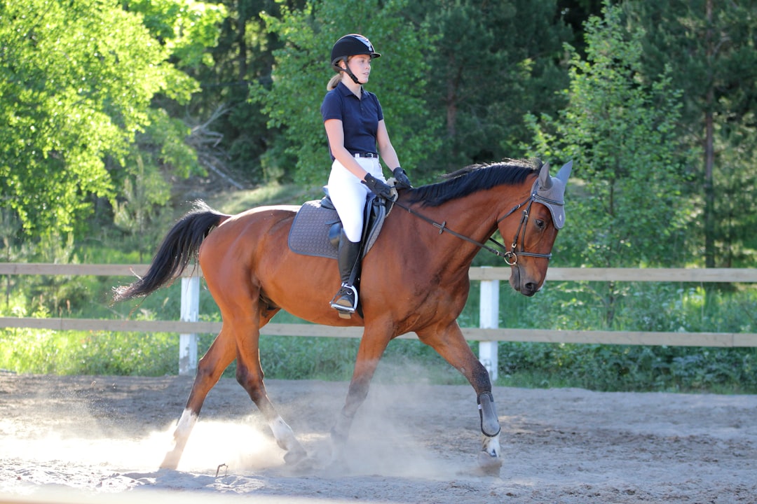 Mr. Trot