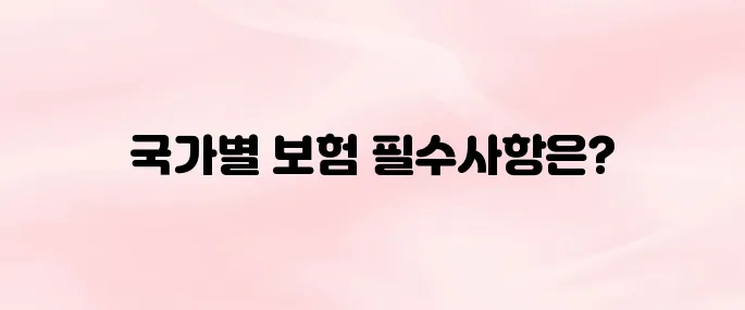 해외 유학생 보험, 나라별 필수 가입 정보 총정리 [2025년 최신]