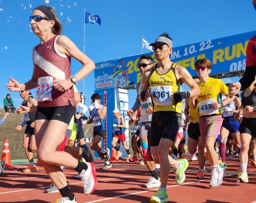 2026마라톤 대회일정 서울 부산 대구 제주