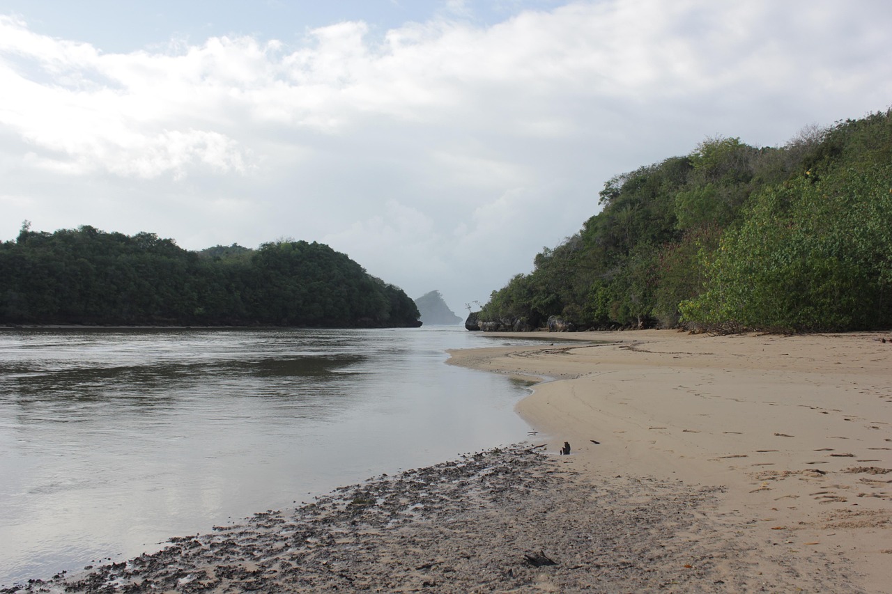 서해안 해수욕장 추천 관련 사진