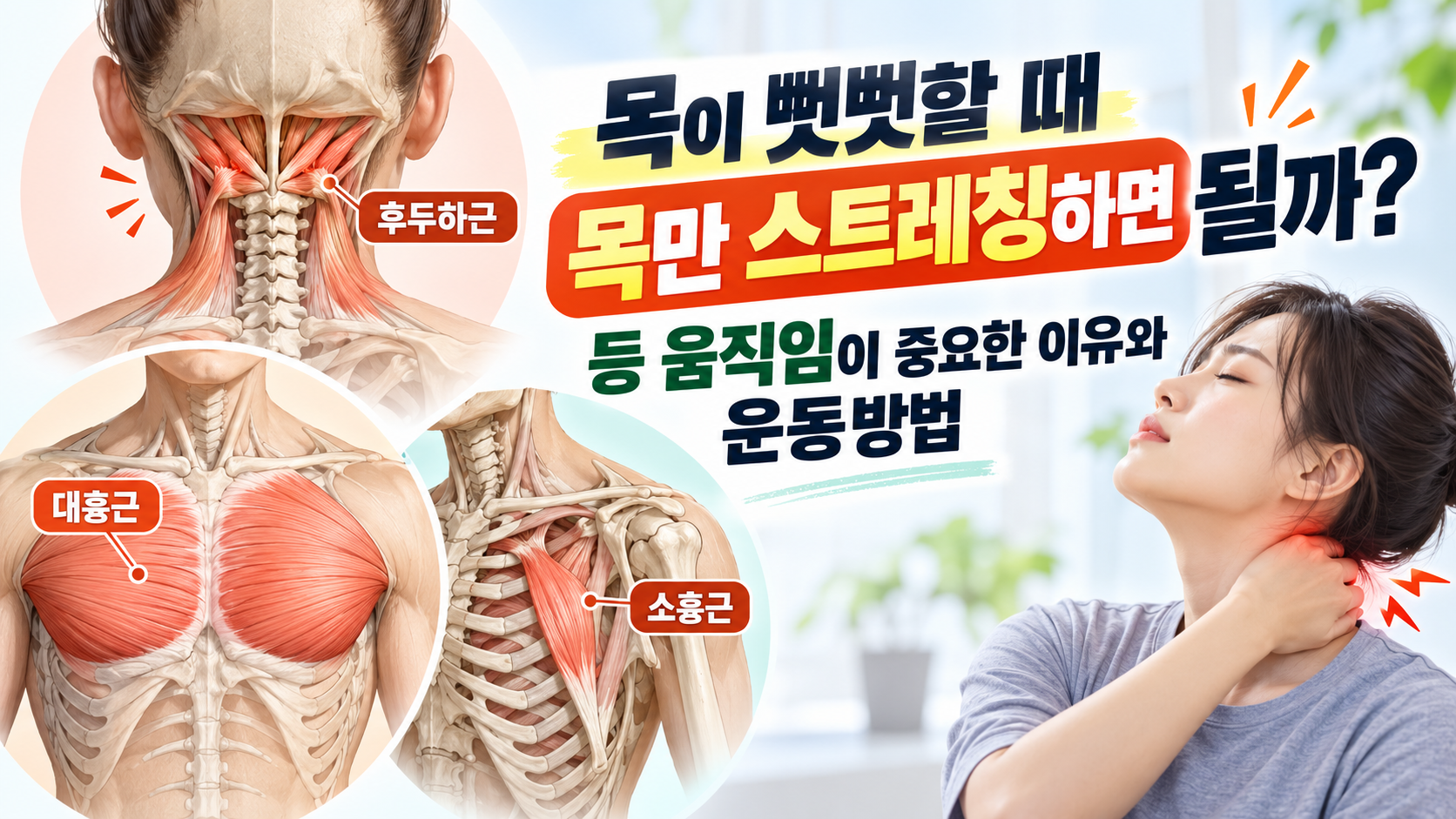 목이 뻣뻣할 때 목만 스트레칭하면 될까? 등 움직임이 중요한 이유과 운동방법