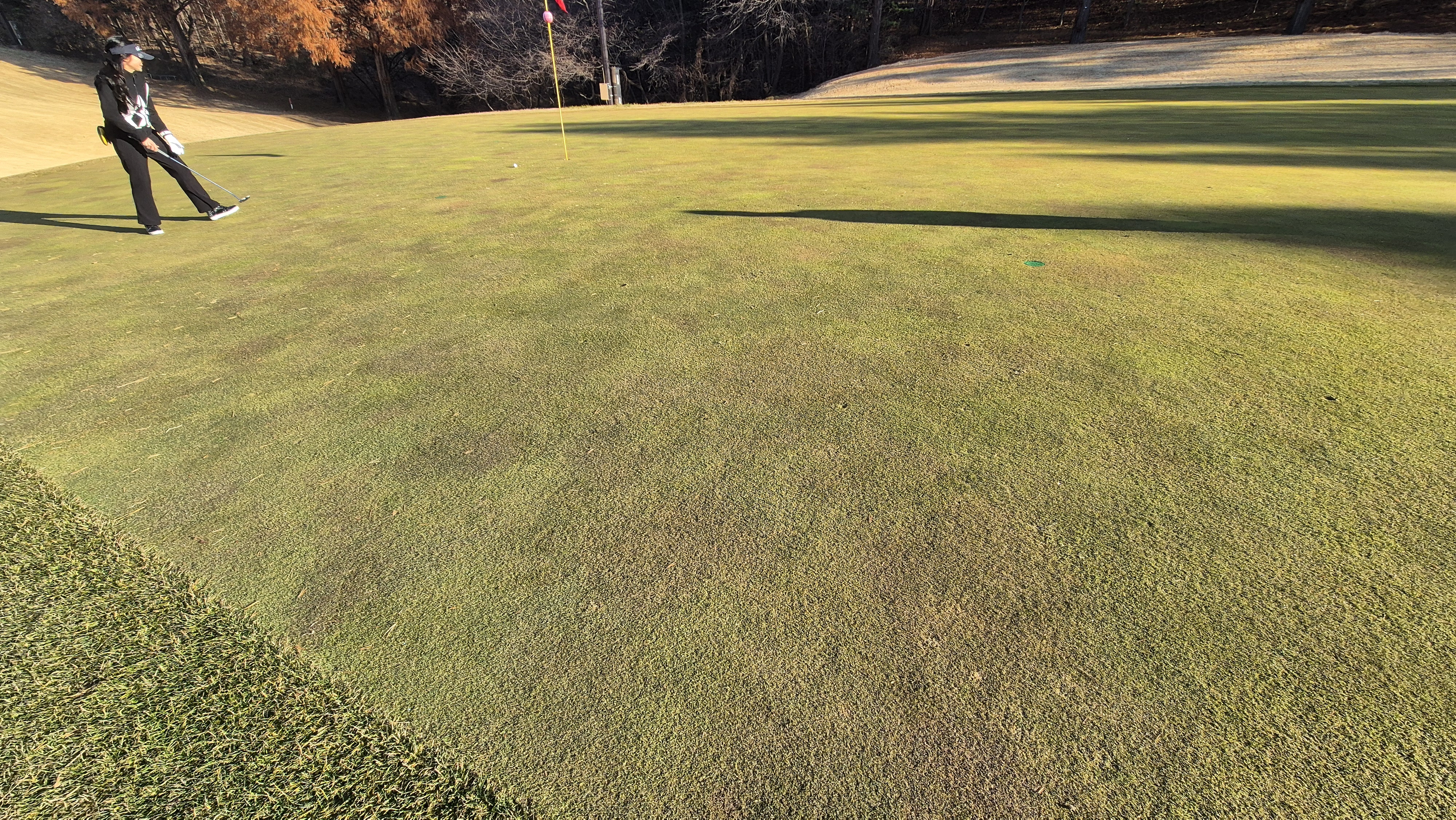 88cc 서코스 그린관리상태