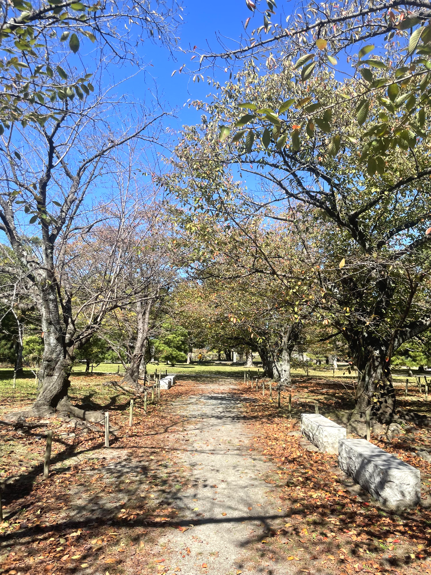 후쿠오카 성터 내려오는 길